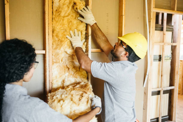 Best Insulation for New Construction  in Bryn Mawr, PA