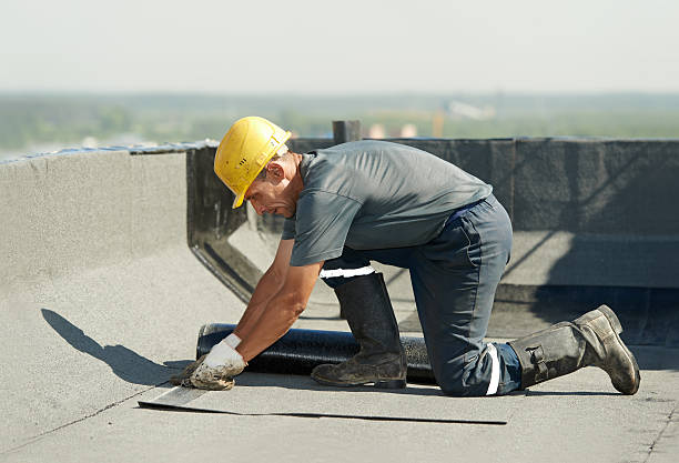 Best Attic Insulation Installation  in Bryn Mawr, PA